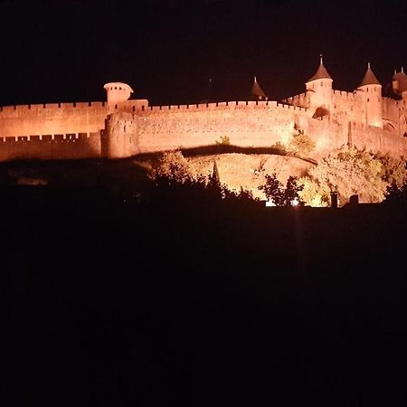 הוילה קרקסון Maison Vue Cite 1 מראה חיצוני תמונה